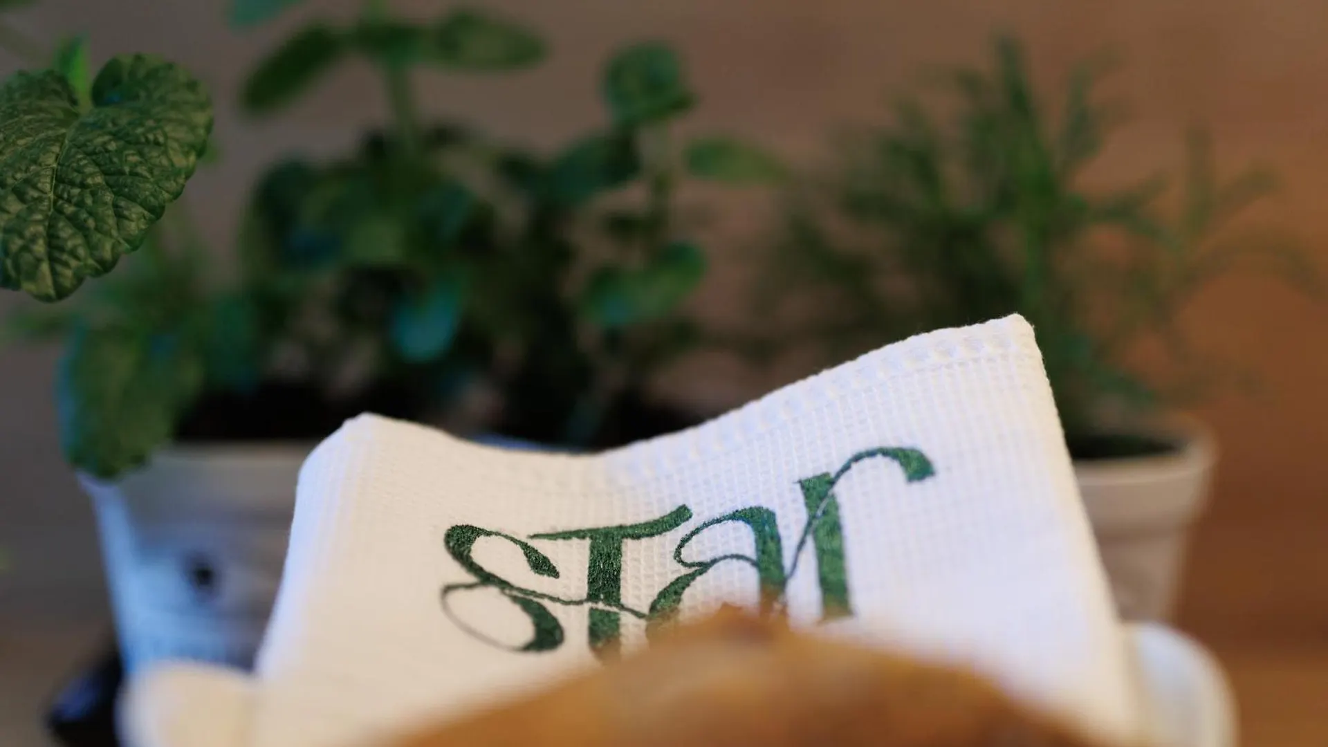 Star Apartments Tar-Vabriga